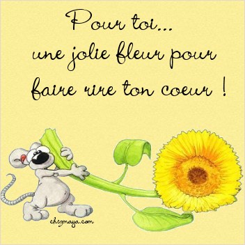 fé rire lé personnes ki son triste otour de toi!!
