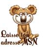 msn