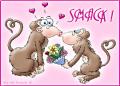 tro chou!!!